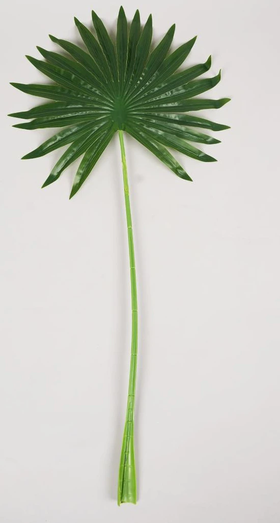 Palm Leave H76W38